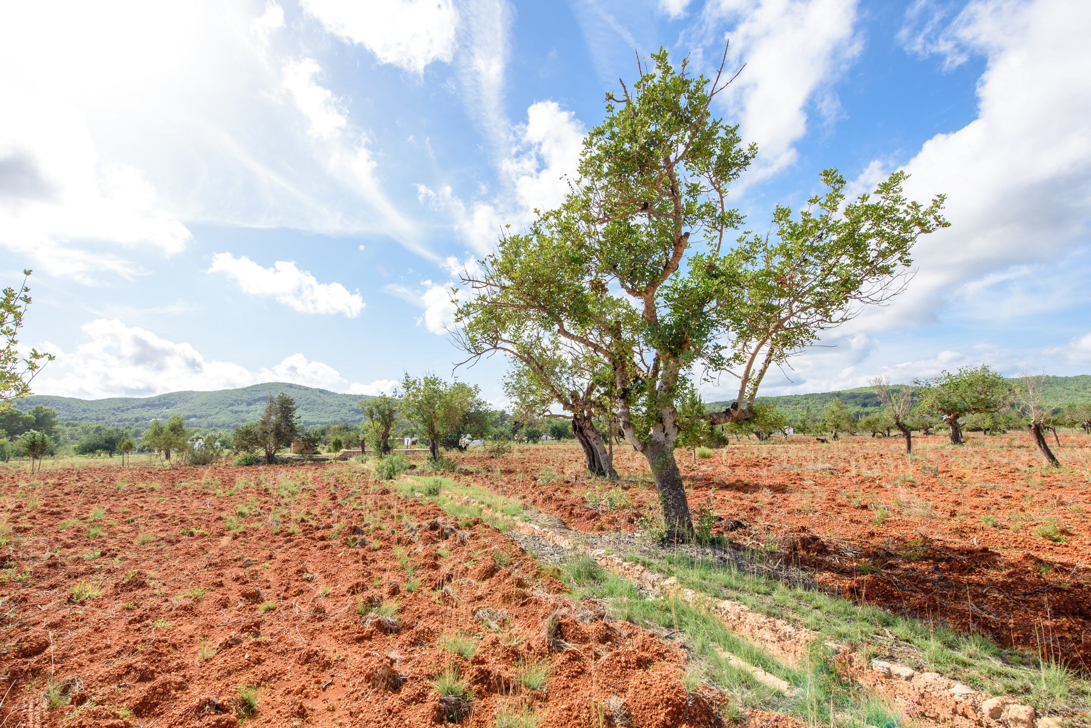 WEB RES-plotesnovells-8.jpg